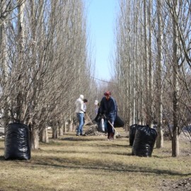 Работники ГЭТ приняли участие в общегородском субботнике