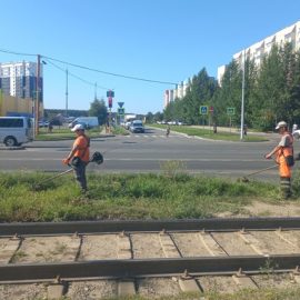 Сотрудники «Горэлектротранса» продолжают косить траву вдоль трамвайного полотна.