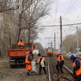 «Горэлектротранс» присоединился к третьему «чистому четвергу»
